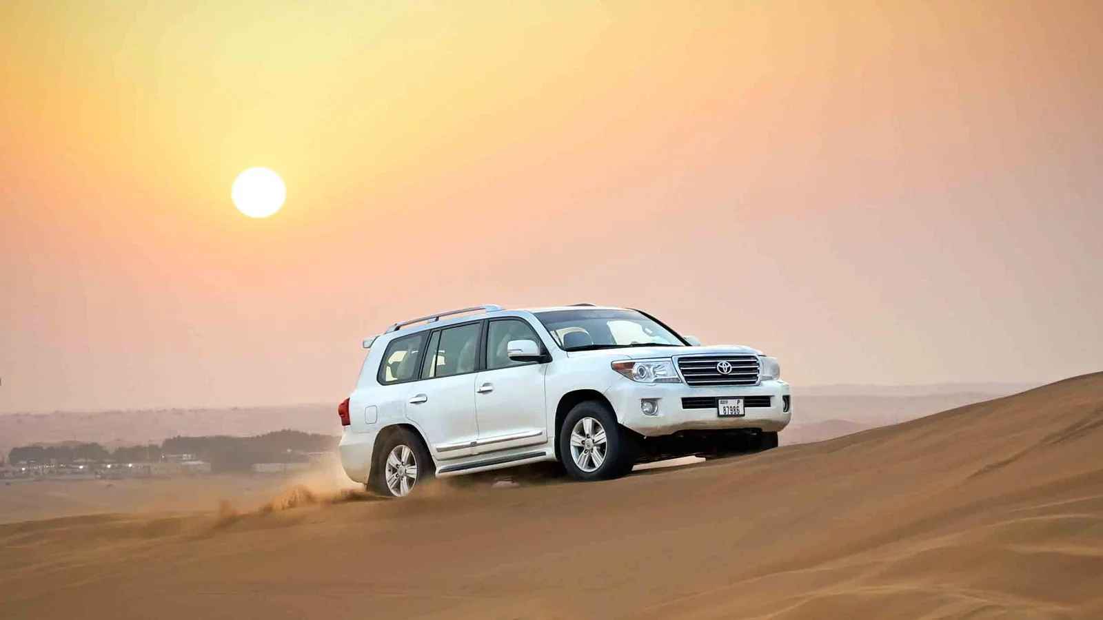Morning-Safari-–-Private