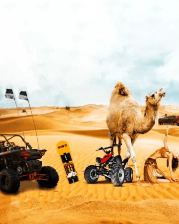 Evening Desert Safari