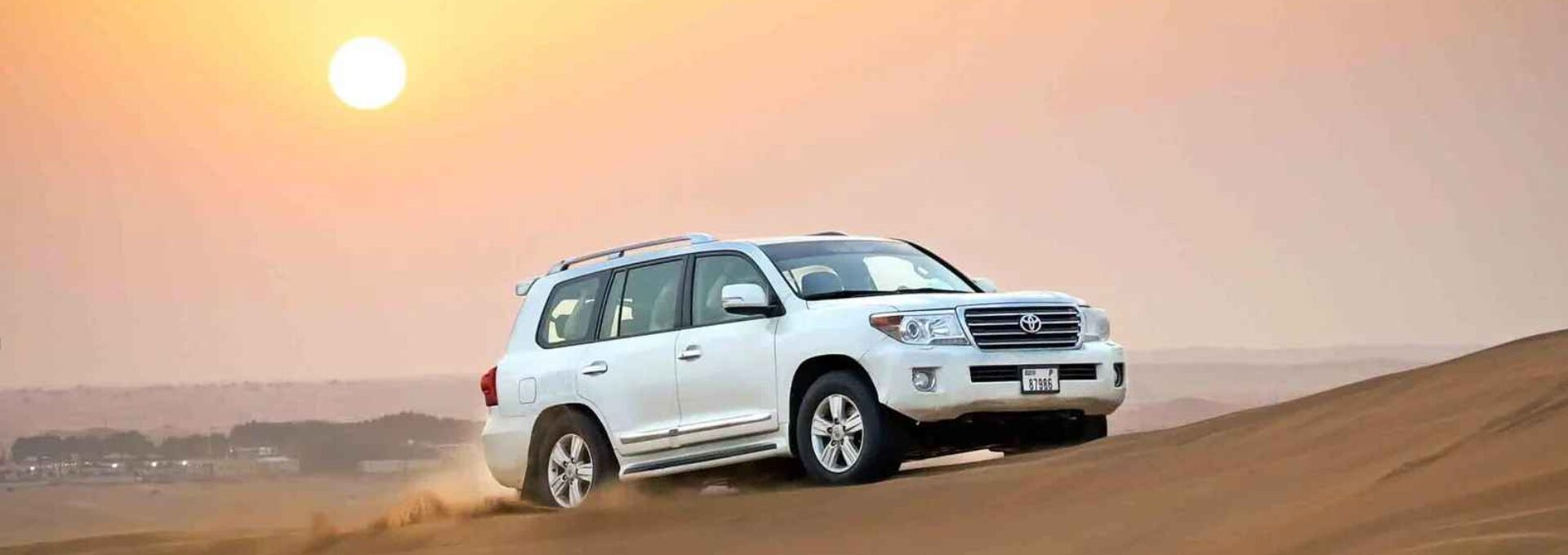 Morning-Safari-–-Private