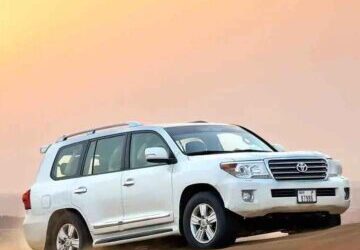 Morning-Safari-–-Private