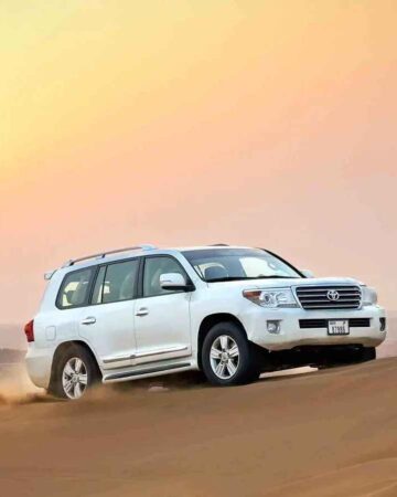 Morning Safari – Private Tour