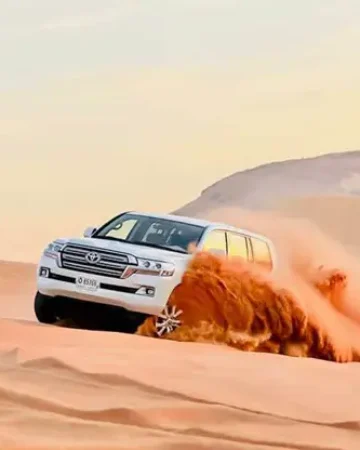 Morning Safari (SIC – Shared)